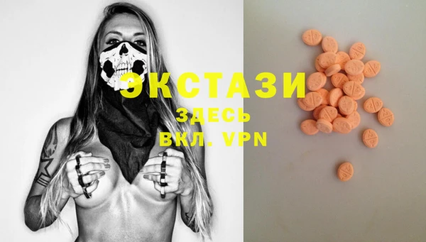 дмт Бородино