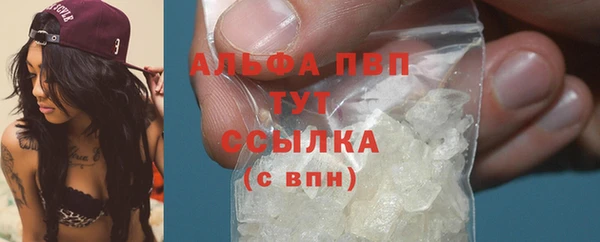 дмт Бородино