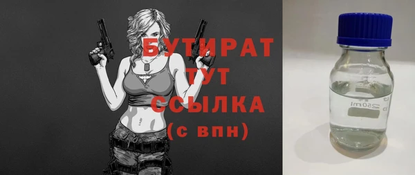 дмт Бородино