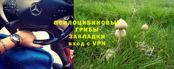Альфа ПВП Няндома