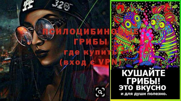 молекула духа Верея