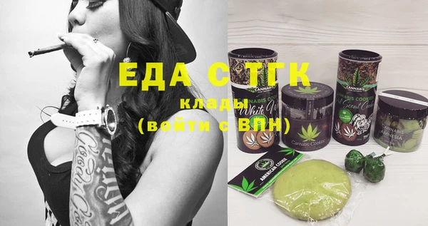 дмт Бородино