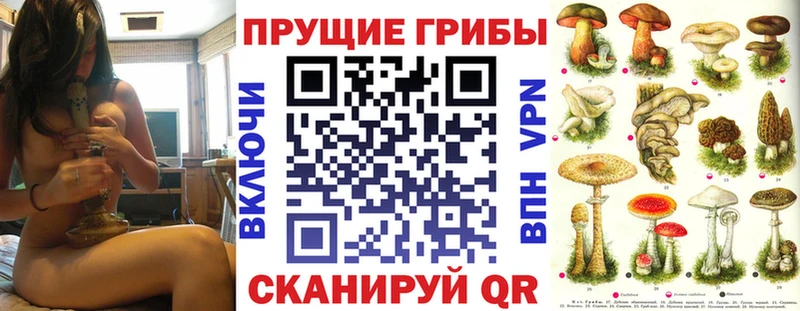 блэк спрут ссылка  Каспийск  Галлюциногенные грибы Psilocybe 